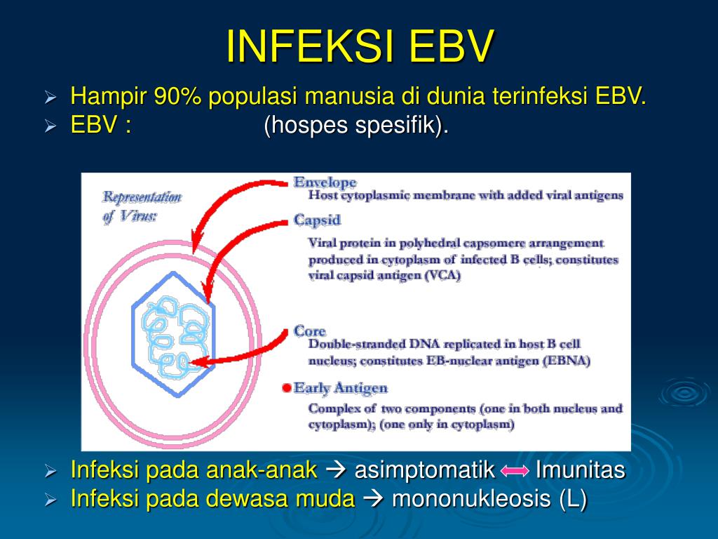 Файл ebd что это