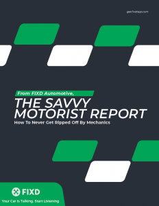 The Savvy Motorist Report