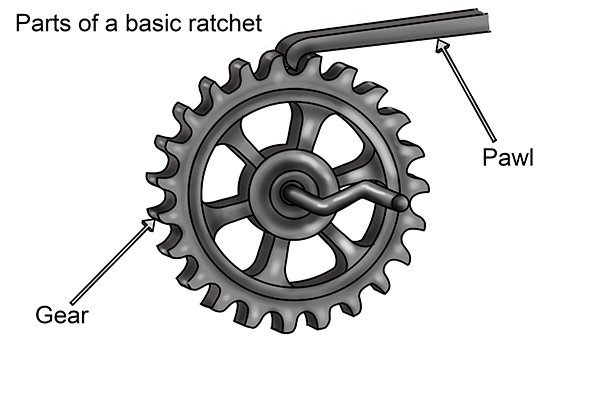 There are two basic parts to a ratchet mechanism the gear and the pawl. When engaged the pawl locks into the gear teeth only allowing the gear to turn in one direction.